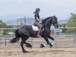 /media/uploads/generated/20220805_0143W_orig.jpg